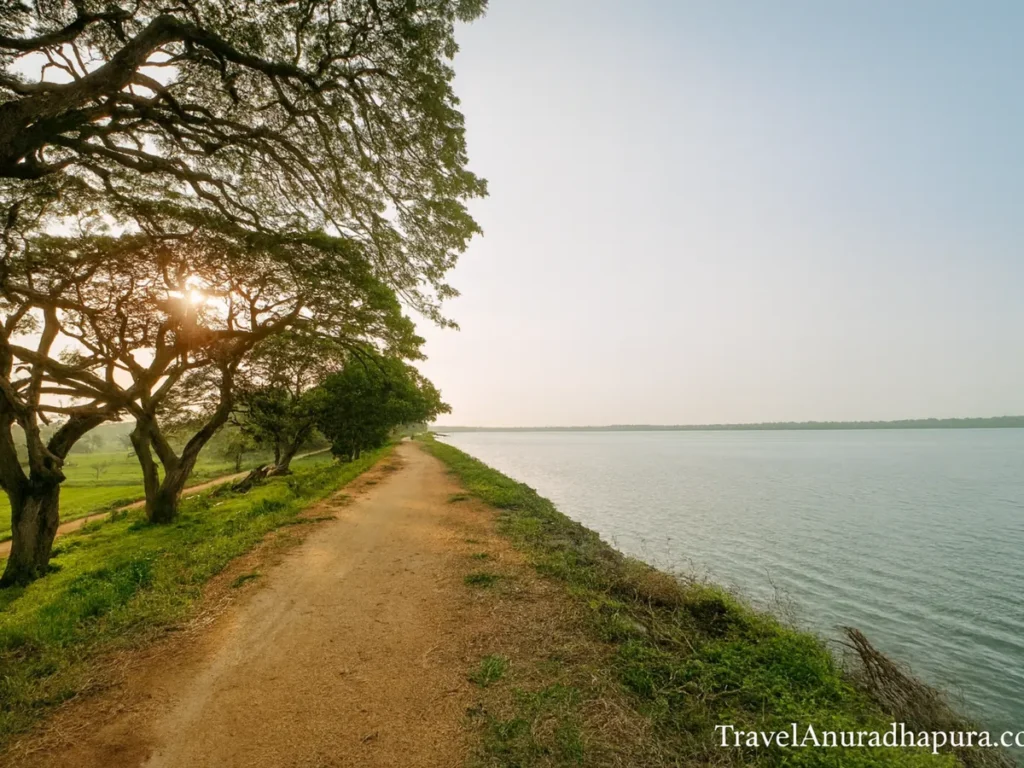 Tissa Wewa lake in Anuradhapura with a walking path beside the water at sunset